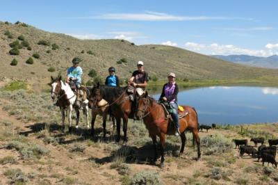 Horseback Riding & Tours in Frisco